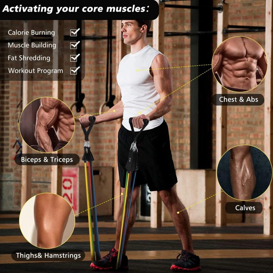 Exercise Resistance Bands Set – 5 Strength Levels for Home Workouts, Physical Therapy, Yoga & Travel – Durable, Portable Fitness Bands