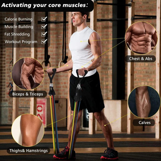 Exercise Resistance Bands Set – 5 Strength Levels for Home Workouts, Physical Therapy, Yoga & Travel – Durable, Portable Fitness Bands